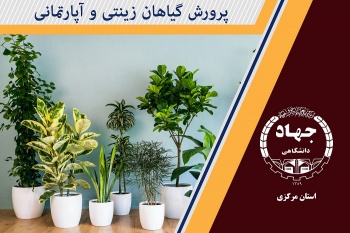 پرورش گیاهان زینتی و آپارتمانی